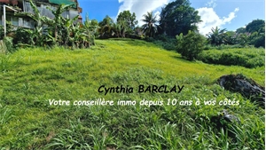 terrain à la vente -   97200  FORT DE FRANCE, surface 1390 m2 vente terrain - UBI479989229